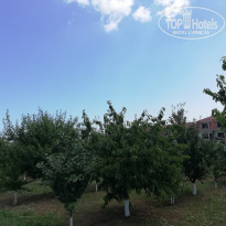 фото из отзыва ID 1997940