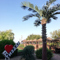 фото из отзыва ID 1997940