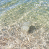 фото из отзыва ID 1997940