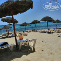 фото из отзыва ID 1998141