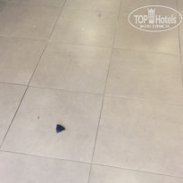 фото из отзыва ID 1998158