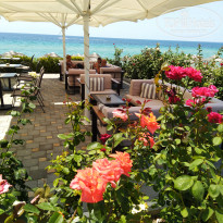 фото из отзыва ID 1998264