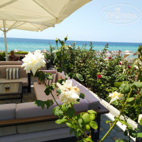 фото из отзыва ID 1998264