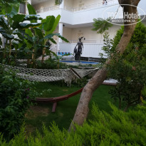 фото из отзыва ID 1995890