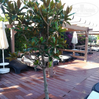 фото из отзыва ID 1995890