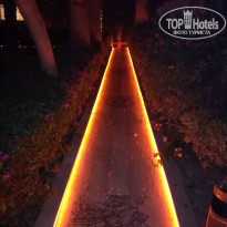 фото из отзыва ID 1995890