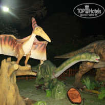 фото из отзыва ID 1998317