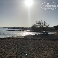 фото из отзыва ID 1998381