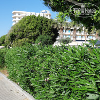 фото из отзыва ID 1998348