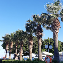 фото из отзыва ID 1998348