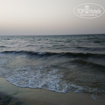 фото из отзыва ID 1998432