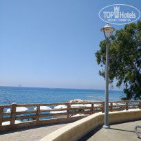 фото из отзыва ID 1998435