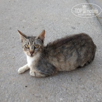 фото из отзыва ID 1995997