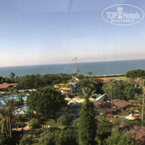 фото из отзыва ID 1998484