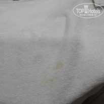 фото из отзыва ID 1997433