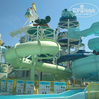 фото из отзыва ID 1998518