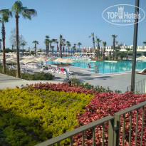 фото из отзыва ID 1998518