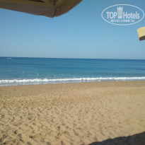 фото из отзыва ID 1998518