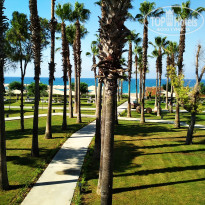 фото из отзыва ID 1998518