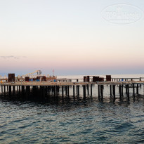 фото из отзыва ID 1998511