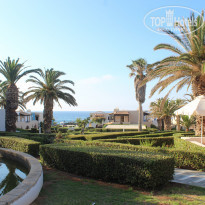 фото из отзыва ID 1998565