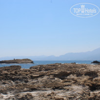 фото из отзыва ID 1998565