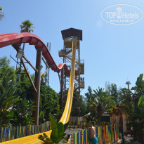 фото из отзыва ID 1998625