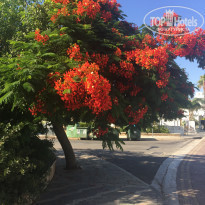 фото из отзыва ID 1997914