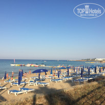 фото из отзыва ID 1997914