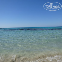 фото из отзыва ID 1998718