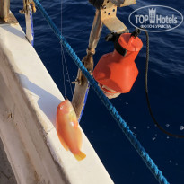 фото из отзыва ID 1998776