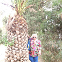 фото из отзыва ID 1998751