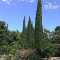 фото из отзыва ID 1998788