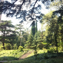 фото из отзыва ID 1998788