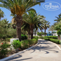 фото из отзыва ID 1997311