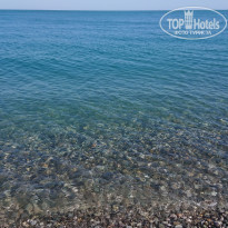 фото из отзыва ID 1998818