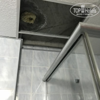 фото из отзыва ID 1998765