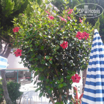 фото из отзыва ID 1998882