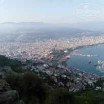 фото из отзыва ID 1998882