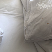 фото из отзыва ID 1995859