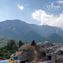 фото из отзыва ID 1998877