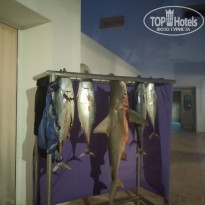 фото из отзыва ID 1998919