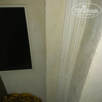 фото из отзыва ID 1999070