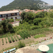 фото из отзыва ID 1999102