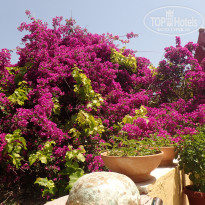 фото из отзыва ID 1999102