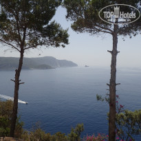 фото из отзыва ID 1999102