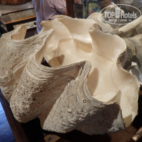 фото из отзыва ID 1999102