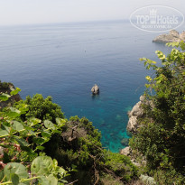 фото из отзыва ID 1999102