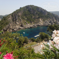 фото из отзыва ID 1999102