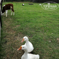 фото из отзыва ID 1999204